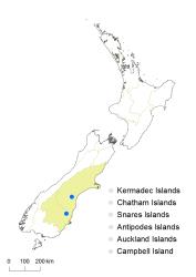 Cardamine dilatata distribution map based on databased records at AK, CHR, OTA & WELT.
 Image: K.Boardman © Landcare Research 2018 CC BY 4.0